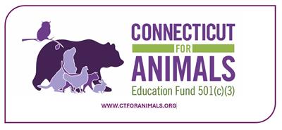 CT for Animals